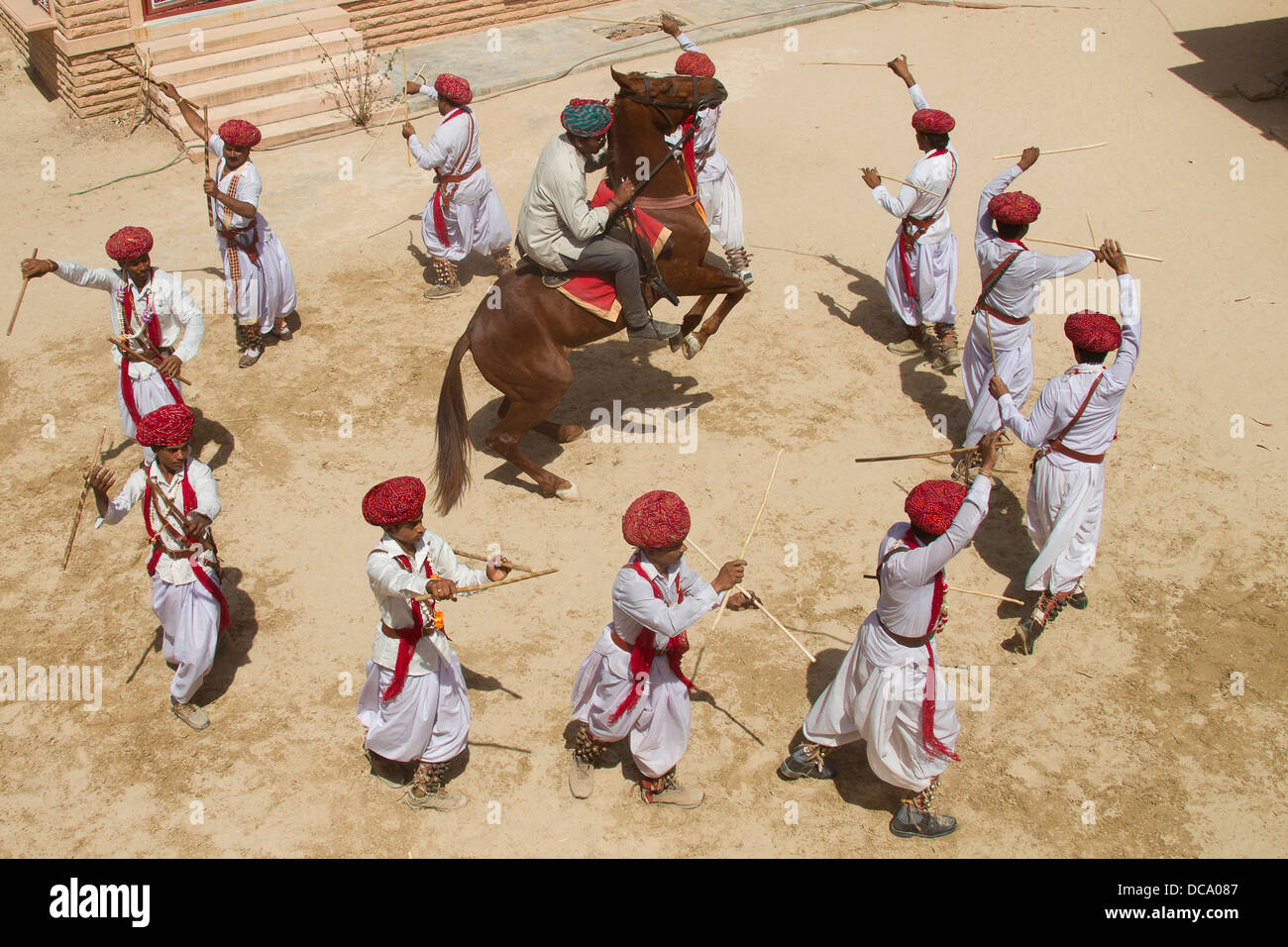 Marwari Horse ballerini locali durante le prestazioni di allevamento stallone di castagno Foto Stock