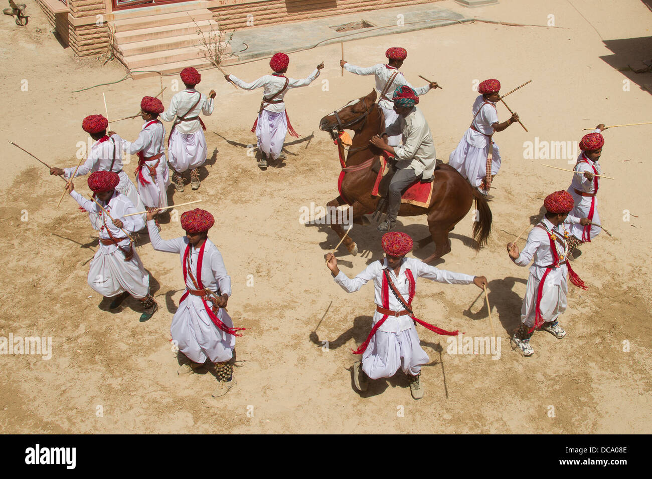 Marwari Horse ballerini locali durante le prestazioni di allevamento stallone di castagno Foto Stock