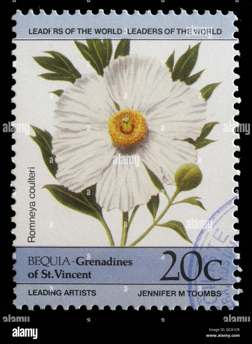 Timbro stampato in Grenadine di San Vincenzo mostra Romneya coulteri fiore, circa 1985 Foto Stock