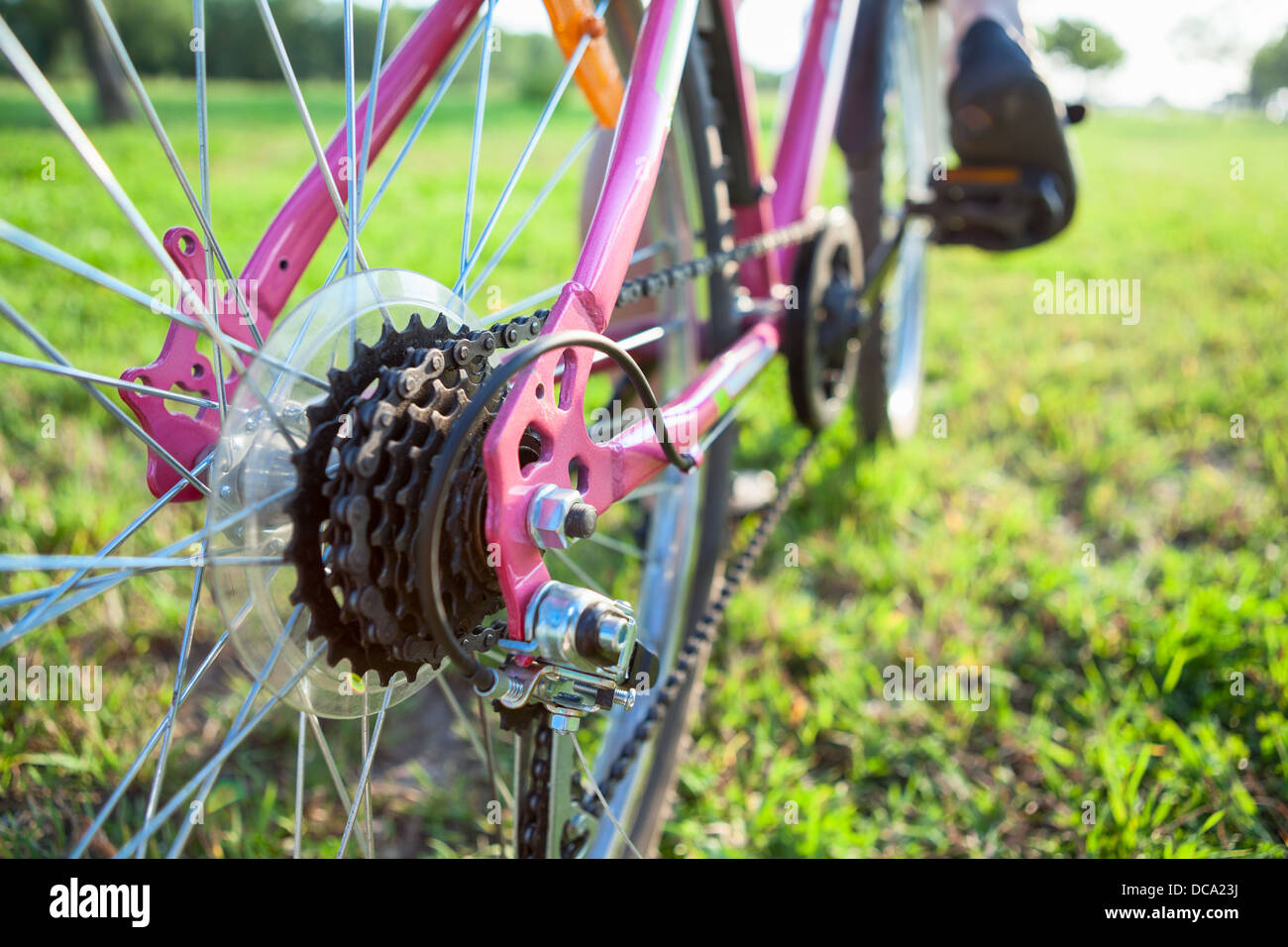 Vista ingrandita del pignone di bicicletta sulla ruota posteriore della  bicicletta e i piedi sui pedali Foto stock - Alamy