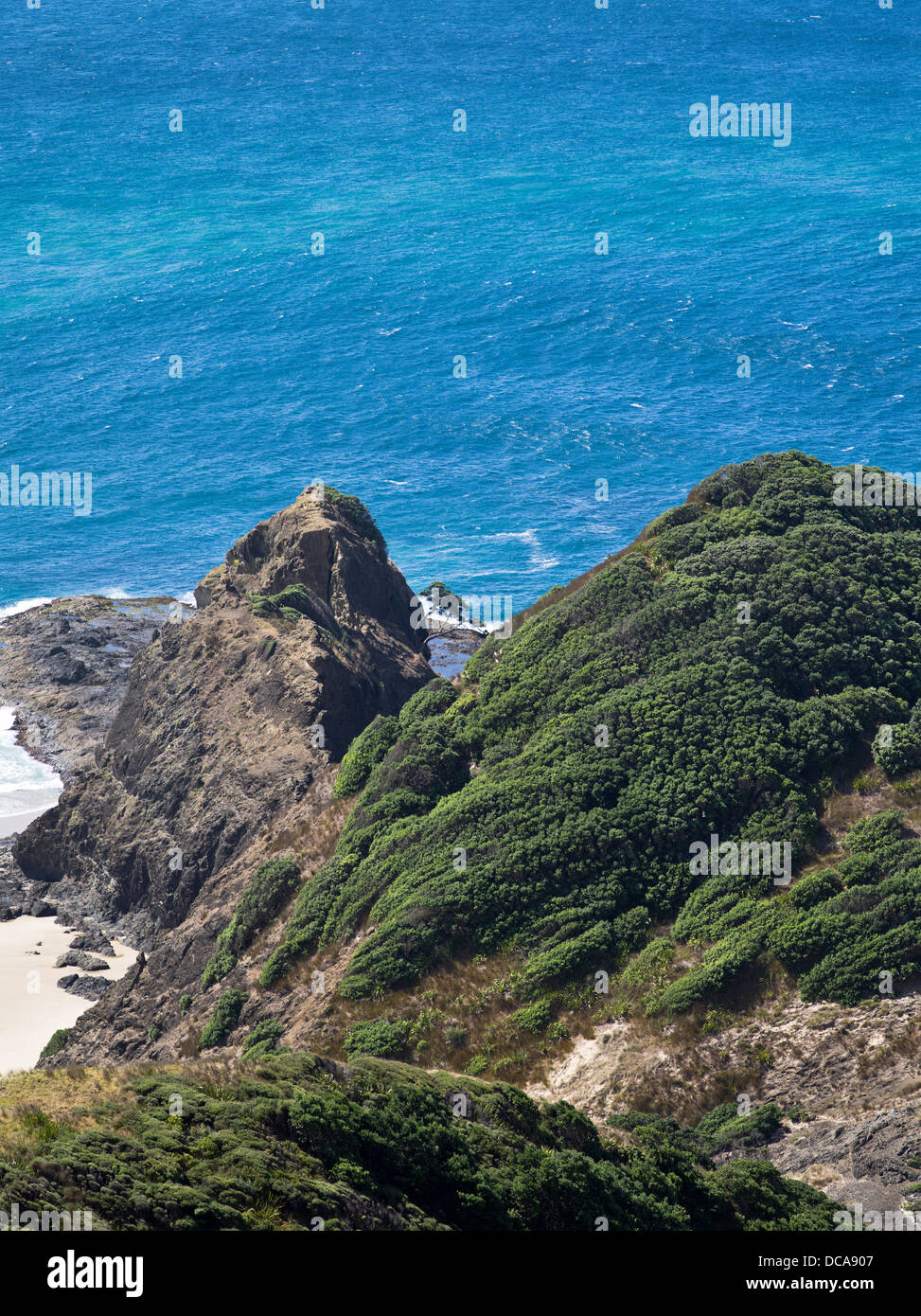 Dh Te Rerngawairua Cape Reinga NUOVA ZELANDA albero Pohutukawa leggenda maori prevalentemente la parte nord della penisola Aupouri Foto Stock
