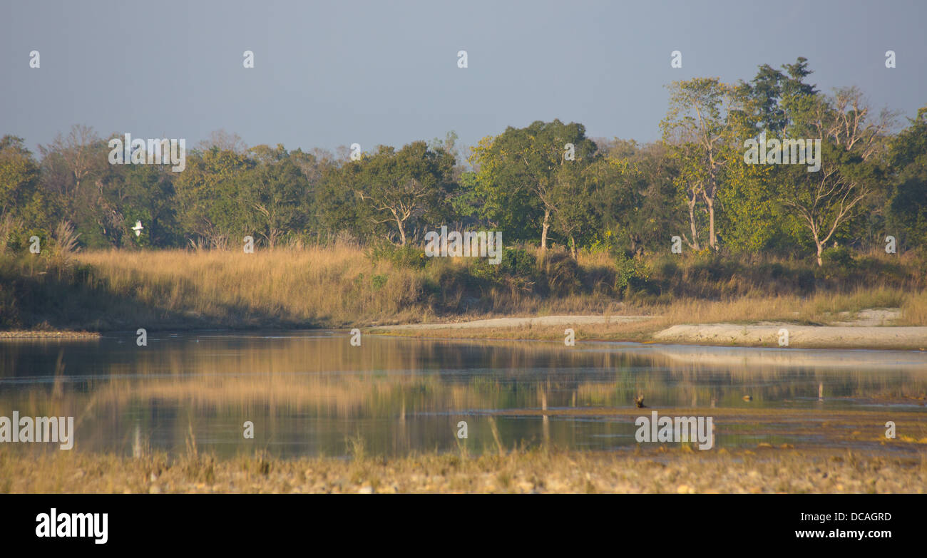 Vista di paludi e foreste in Bardia National Park, il Nepal Foto Stock