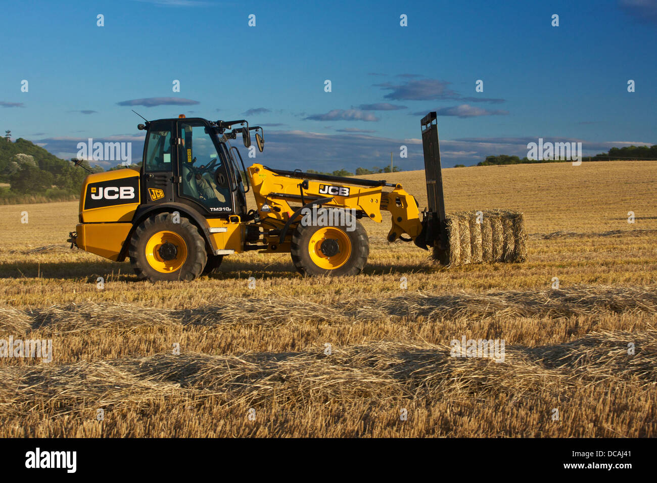 Impilatura di balle di paglia con un JCB TM 130s durante il raccolto REGNO UNITO Foto Stock