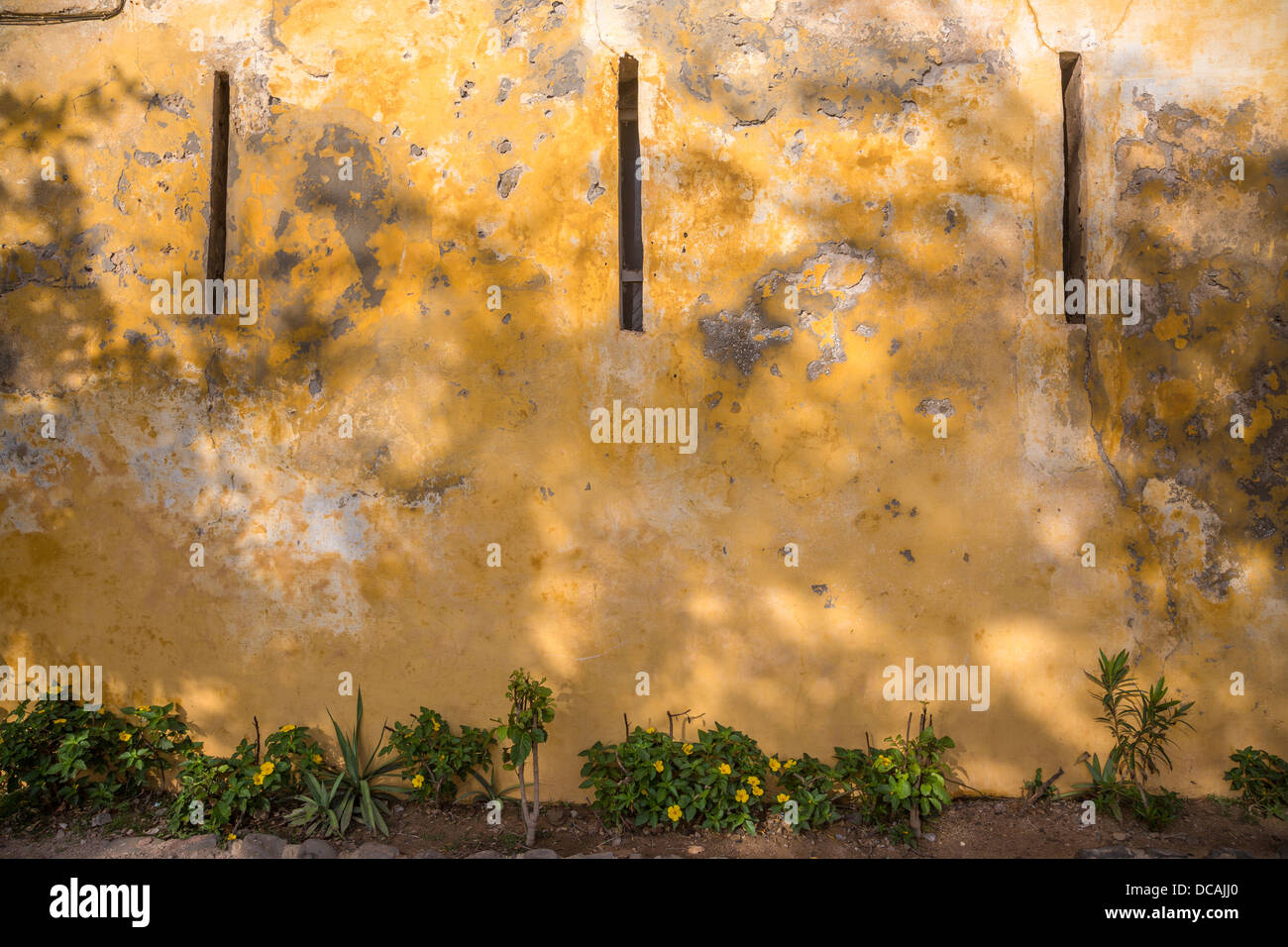 Sfiati nel vecchio muro di una residenza di famiglia, isola di Goree, Senegal. Foto Stock