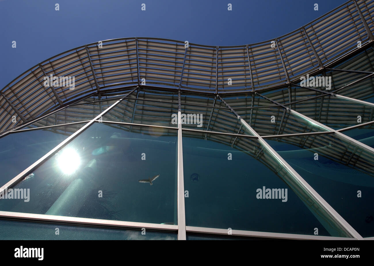 Il National Marine Aquarium del Barbican in Plymouth ,devon Foto Stock