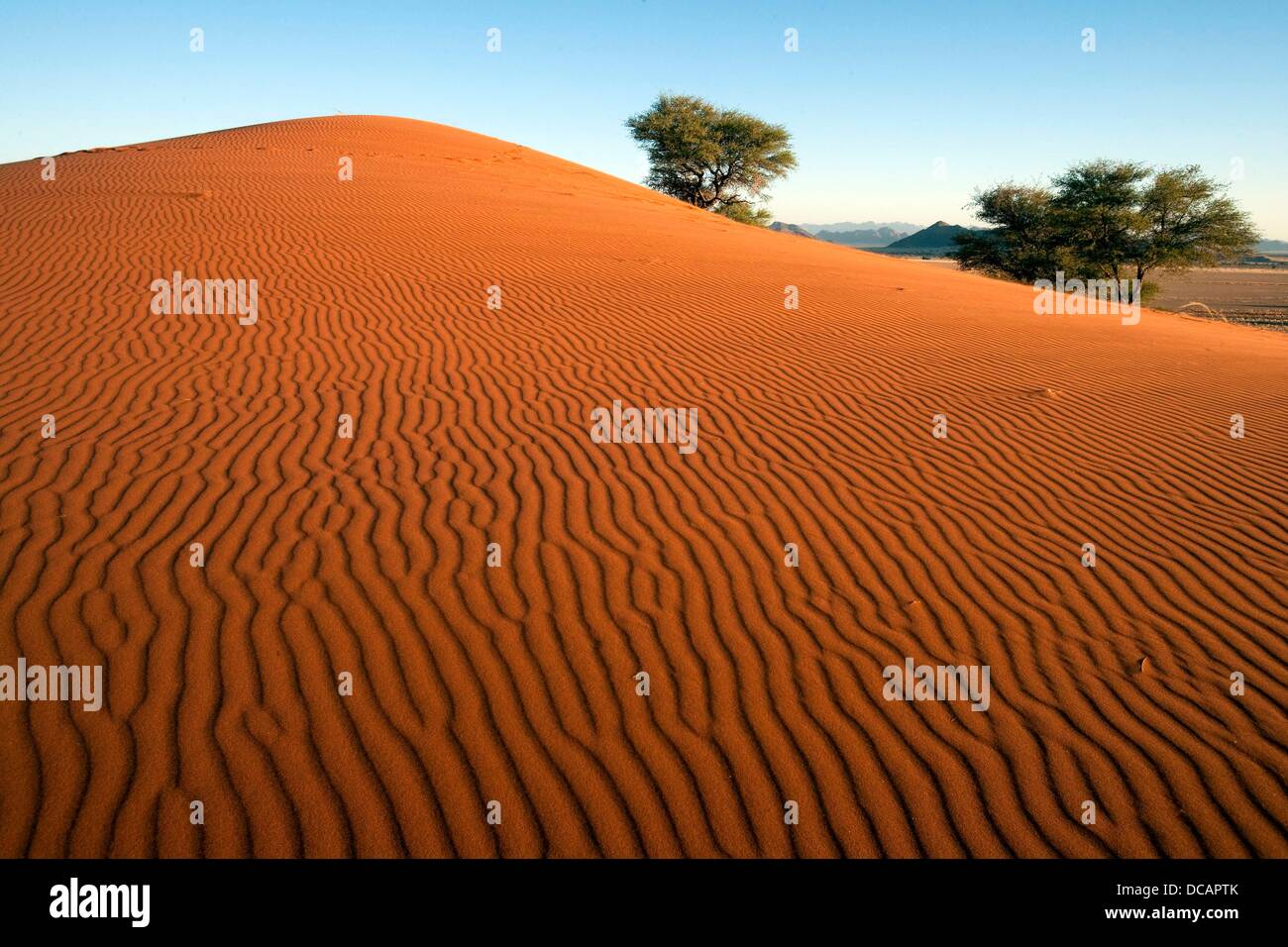 Vista delle dune di sabbia nel Namib Naukluft Park nel deserto del Namib vicino a Sesriem Camp vicino al Sossusvlei, Namibia, 20 dicembre 2010. Foto: Tom Schulze Foto Stock