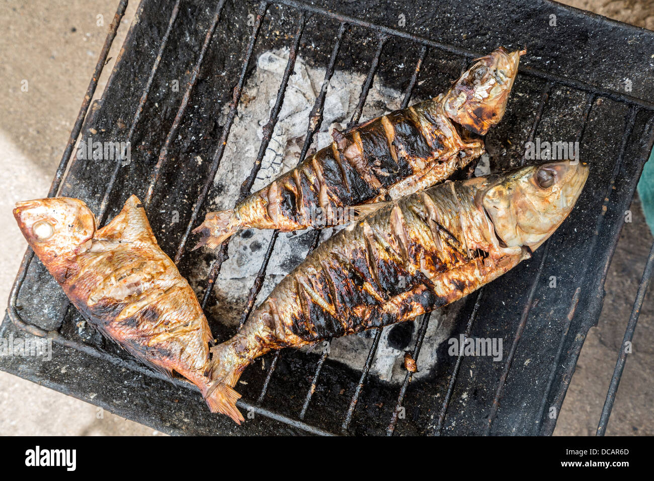 Essendo il pesce alla griglia su carbone, Street Food, isola di Goree, Senegal. Foto Stock