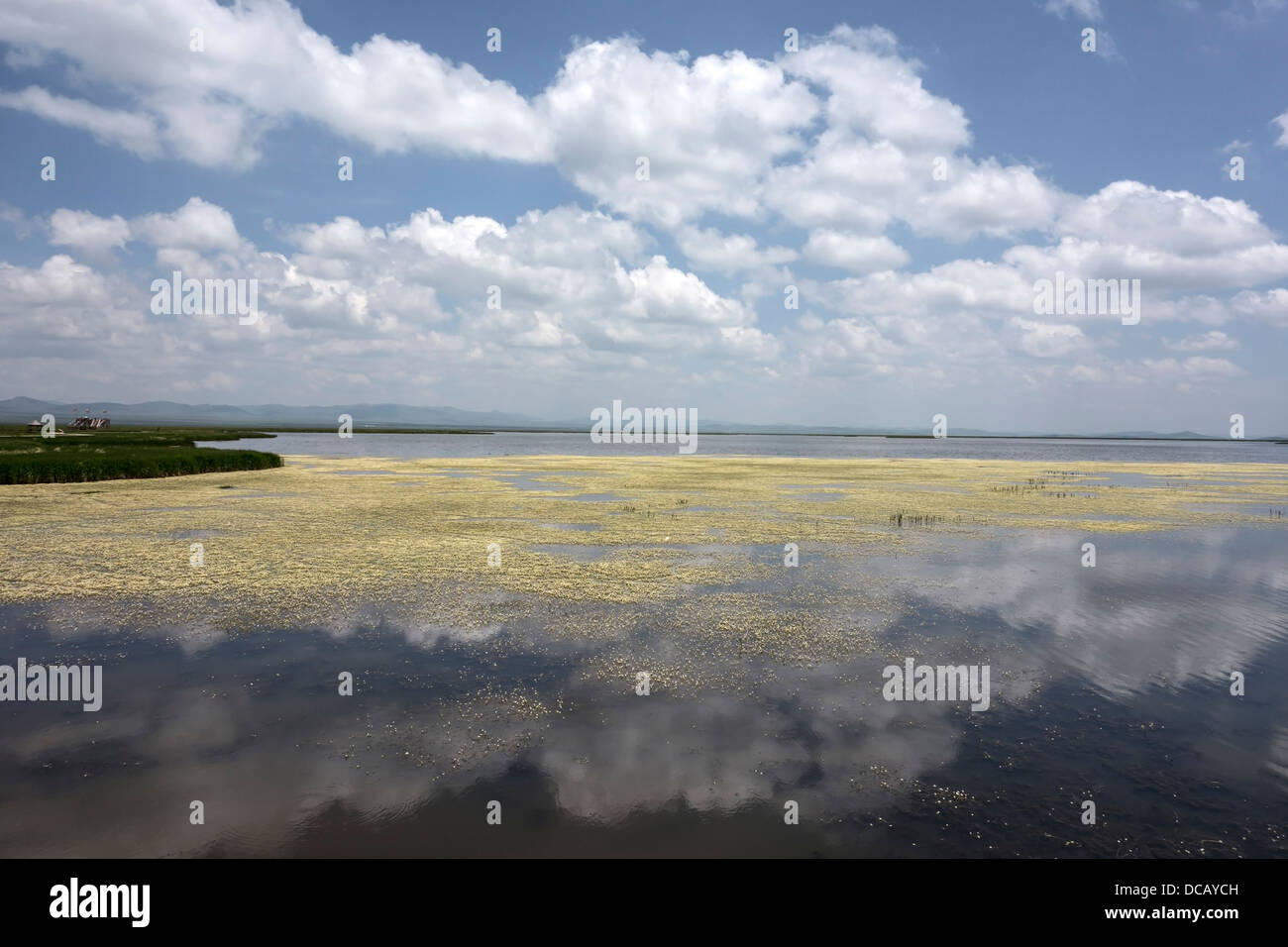 Lo splendido paesaggio del lago di fiori in Sichuan, in Cina Foto Stock
