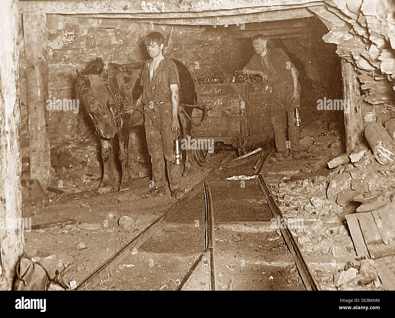 Le miniere di carbone Pit Pony primi 1900s Foto Stock