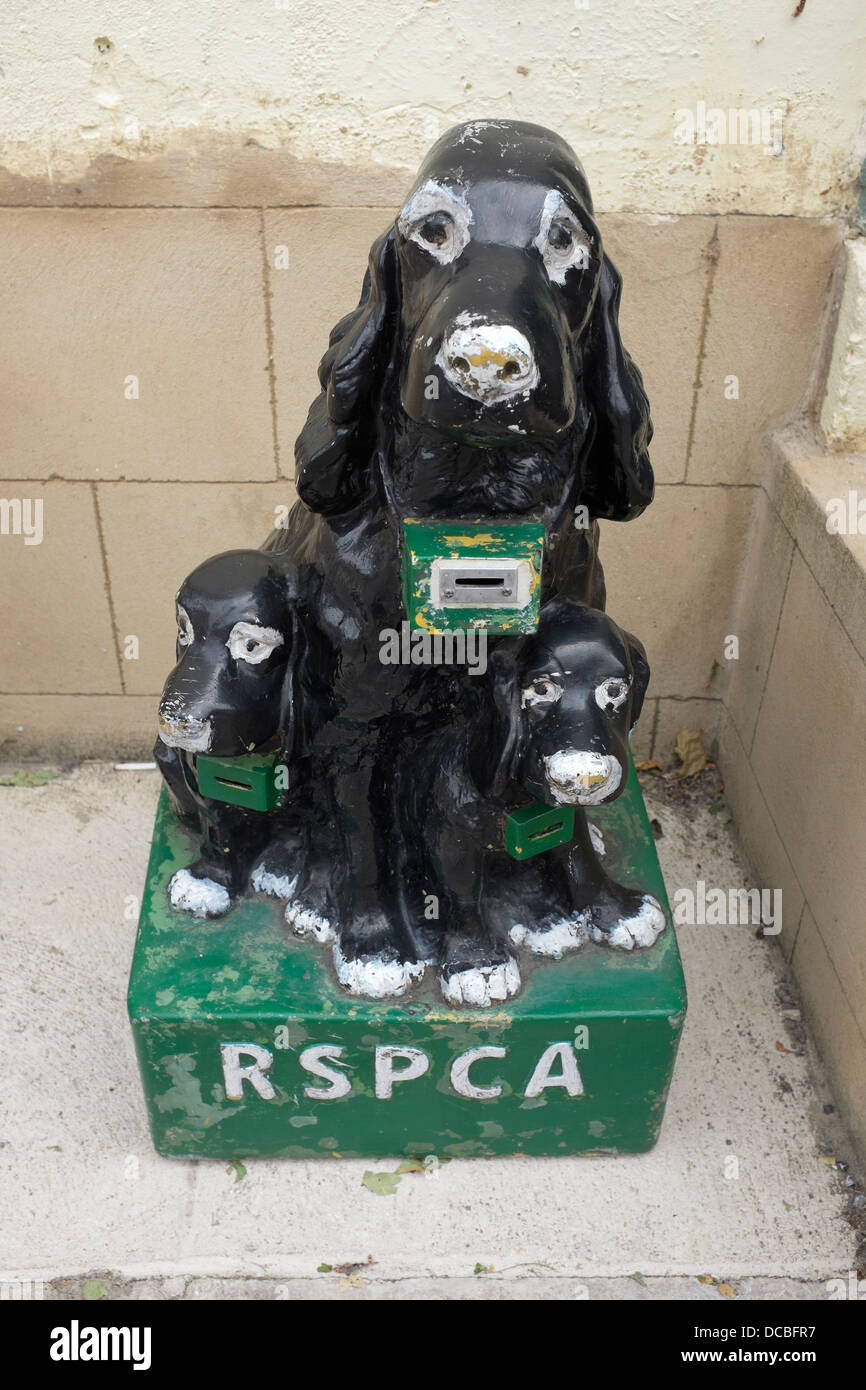 RSPCA carità cane Box Foto Stock