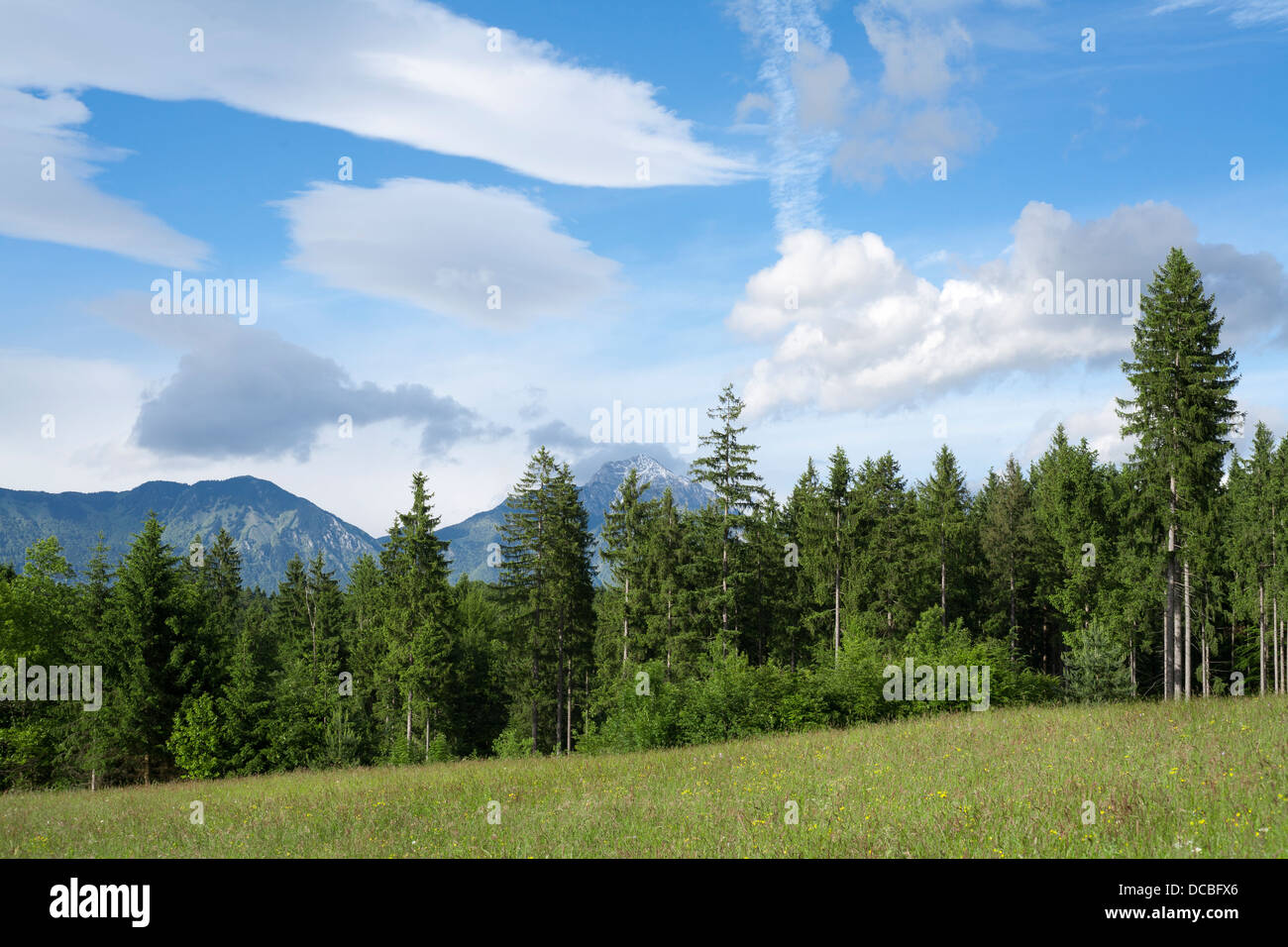 Campagna slovena, Gorenjska Slovenia. Foto Stock