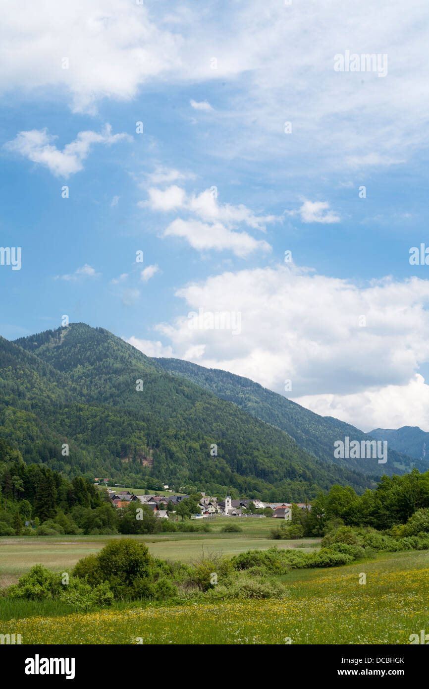 Campagna slovena, Gorenjska. Foto Stock