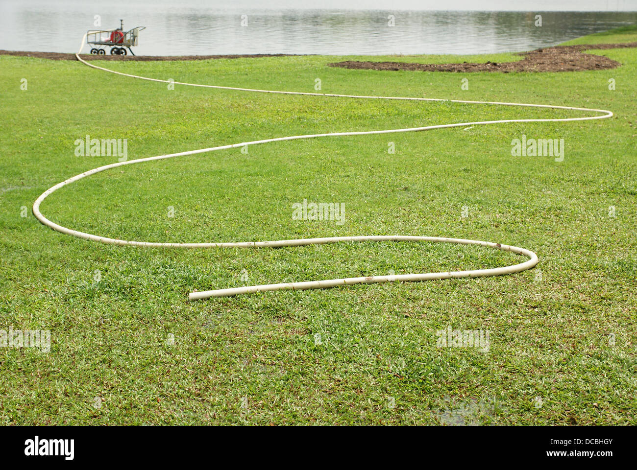 Irrigazione di erba verde mediante pompaggio di acqua dalla palude Foto Stock