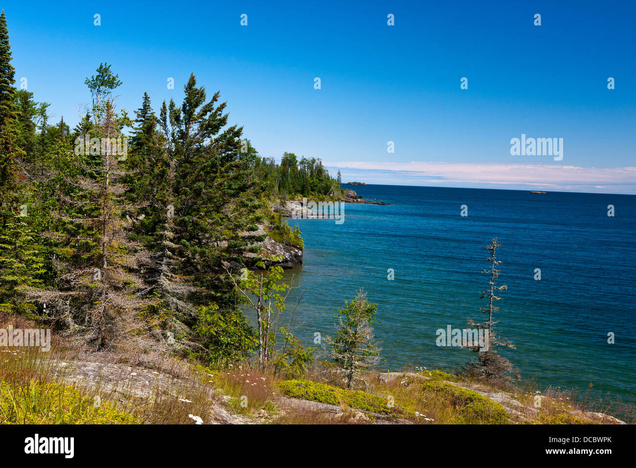 Vista del porto di roccia e Lago Superiore dalla Stoll Memorial Trail, Parco nazionale Isle Royale, Michigan, Stati Uniti d'America Foto Stock