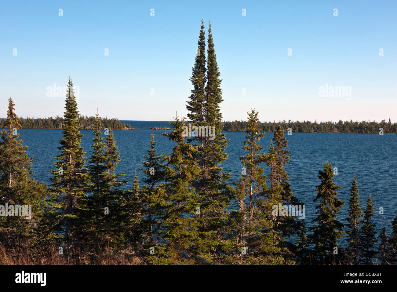 Alberi sempreverdi si susseguono lungo le rive del porto di roccia, Parco nazionale Isle Royale, Michigan, Stati Uniti d'America Foto Stock