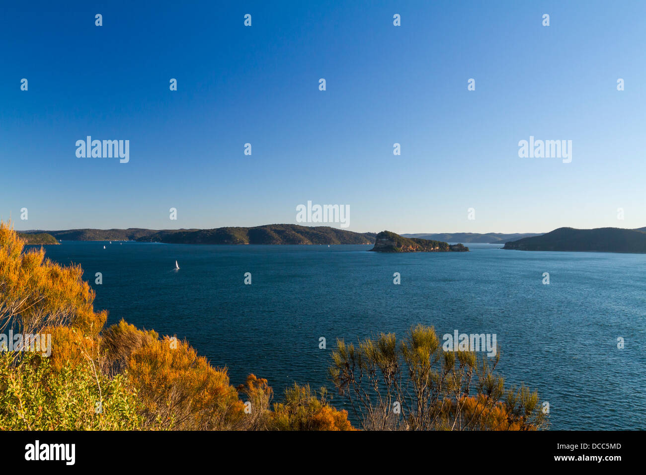 Isola dei leoni Foto Stock