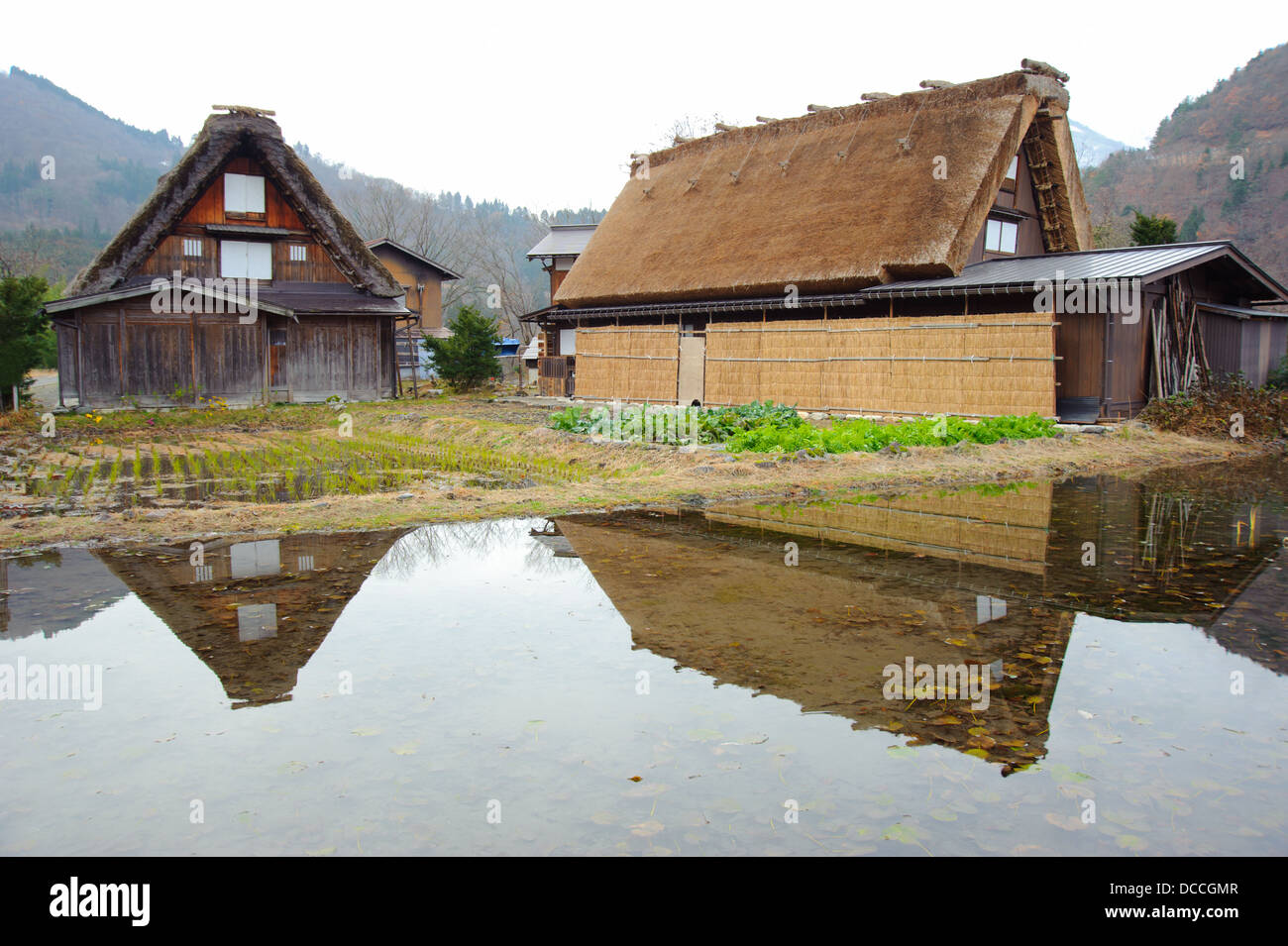 Unica casa stile di Ogimachi villaggio in Shirakawago Foto Stock