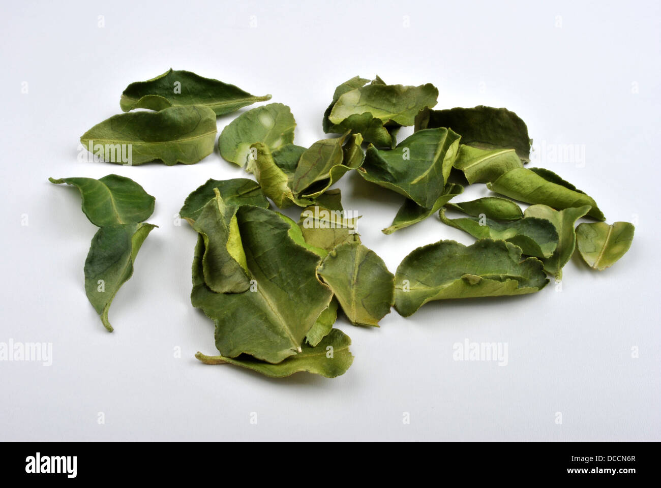 Organici di foglie di combava, adatto per vegetariani Foto Stock