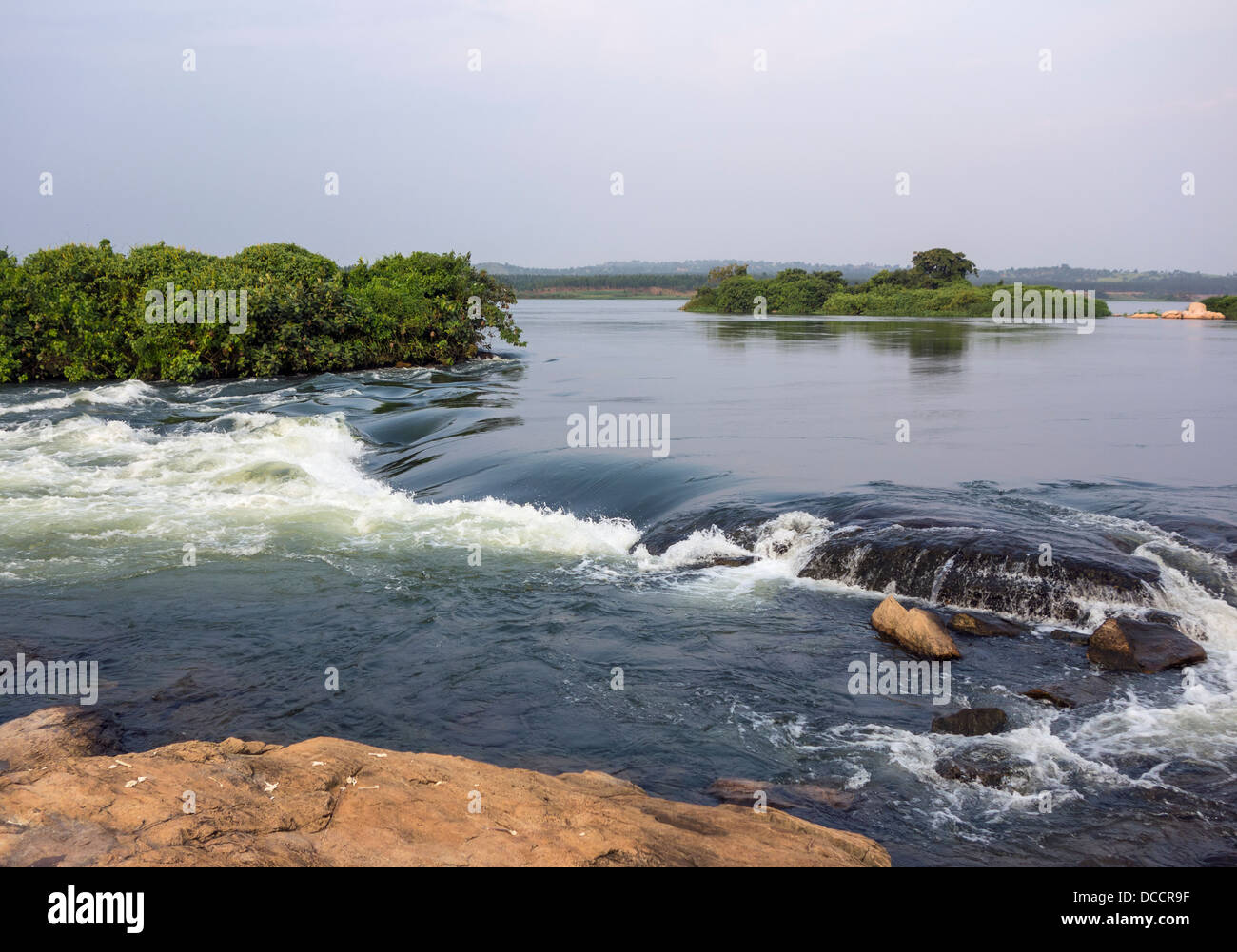 Rapide sul Fiume Nilo - Uganda Foto Stock