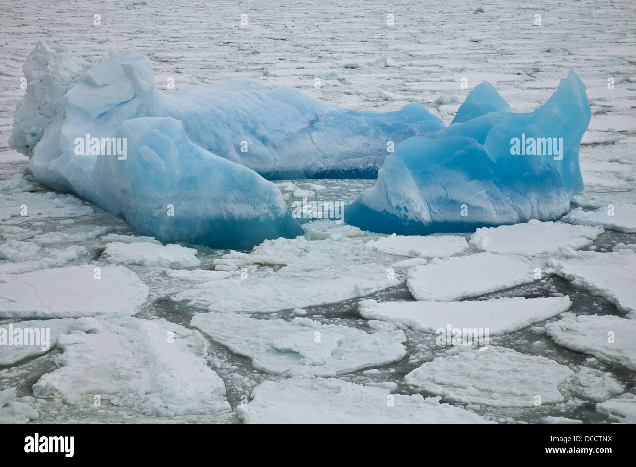 Blu iceberg nel pacco pesante ghiaccio, settentrionale del Mare di Ross Foto Stock
