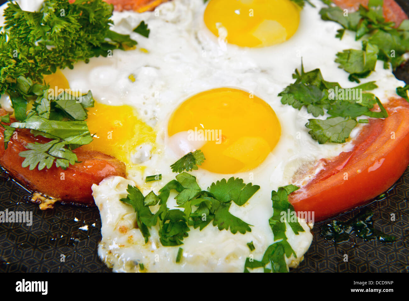 Uova fritte e il pomodoro in padella con erbe aromatiche Foto Stock