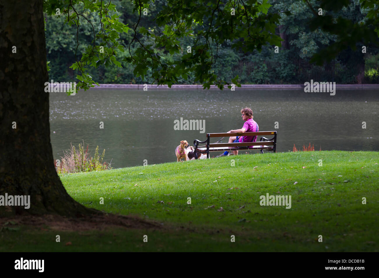 Uomo seduto nel parco con i suoi tre cani Foto Stock