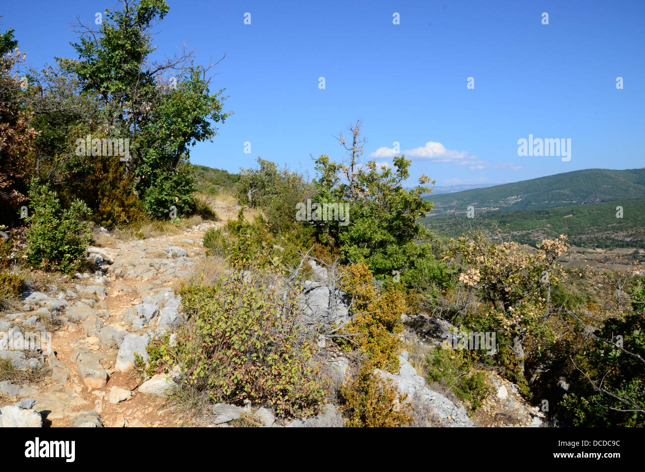 Gorges de la Nesque, situato sulle montagne di Vaucluse tra e Monieux Méthamis, Provence-Alpes-Côte d'Azur, in Francia. Foto Stock