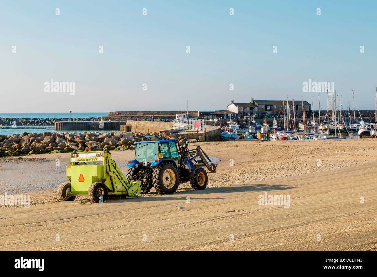 Pulizia del sands a Lyme Regis Beach Foto Stock