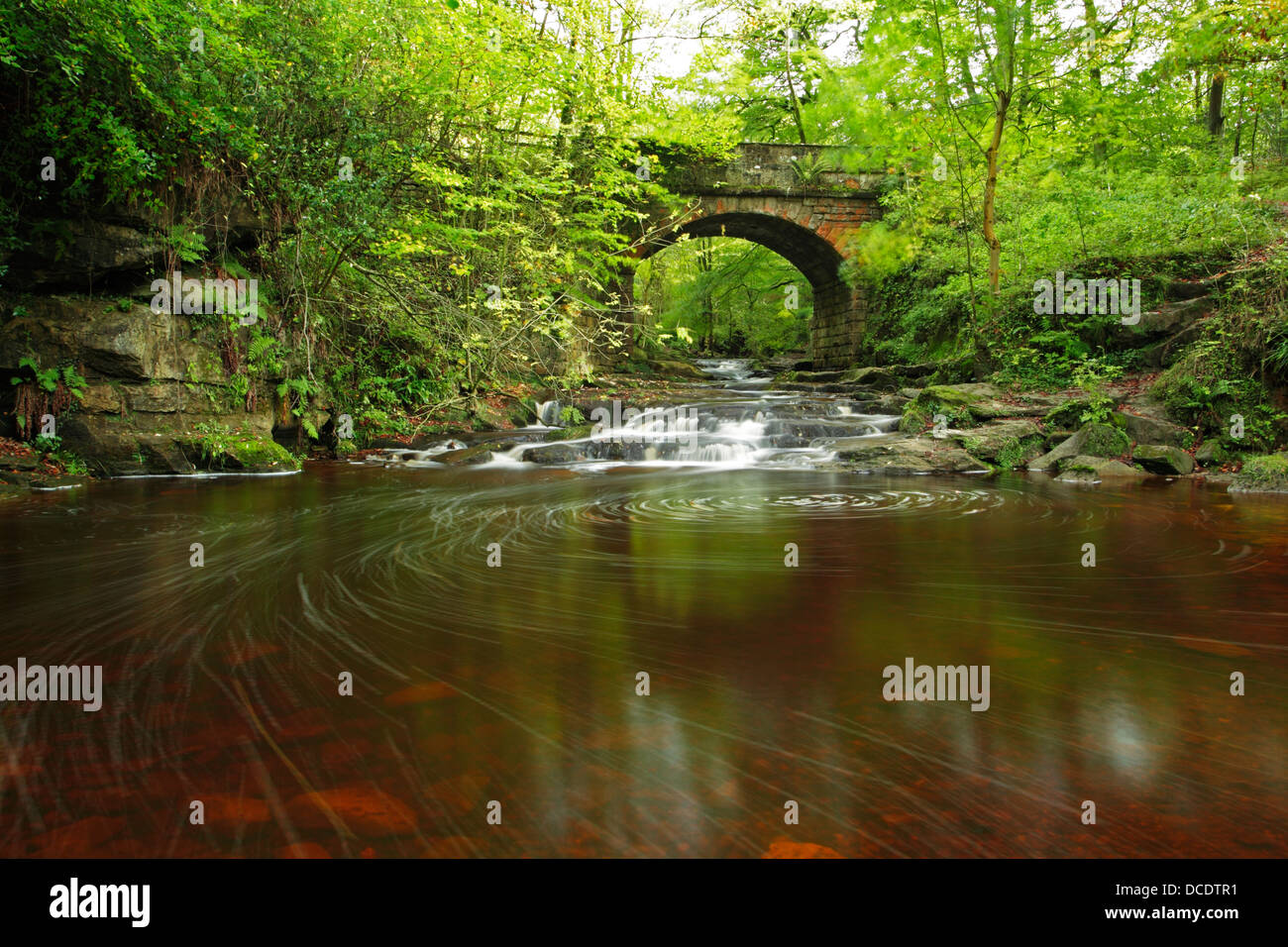 Può Beck che scorre sotto un ponte e al di sopra di una serie di piccoli passi di roccia nella foresta Sneaton Foto Stock