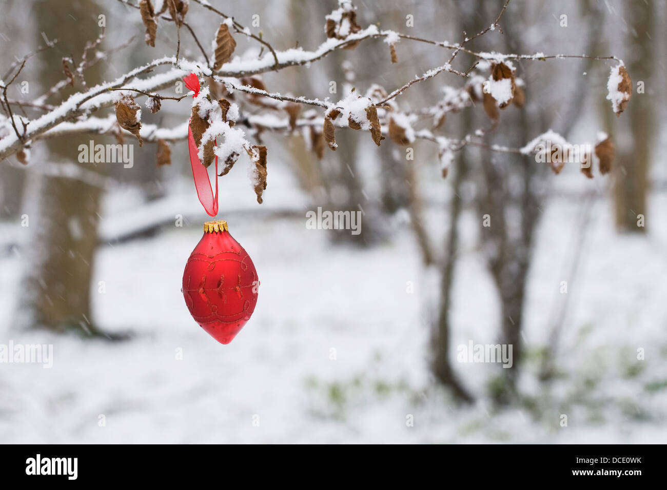 Una singola pallina rossa appeso a una coperta di neve di legno. Foto Stock