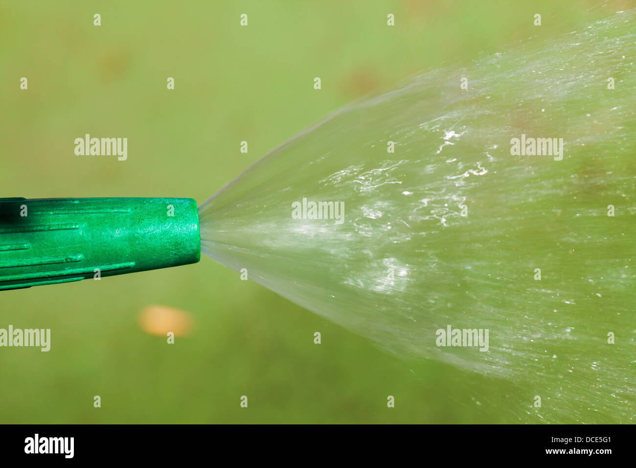 Annaffiatura di piante e di erba dall'ugello, primo piano Foto Stock