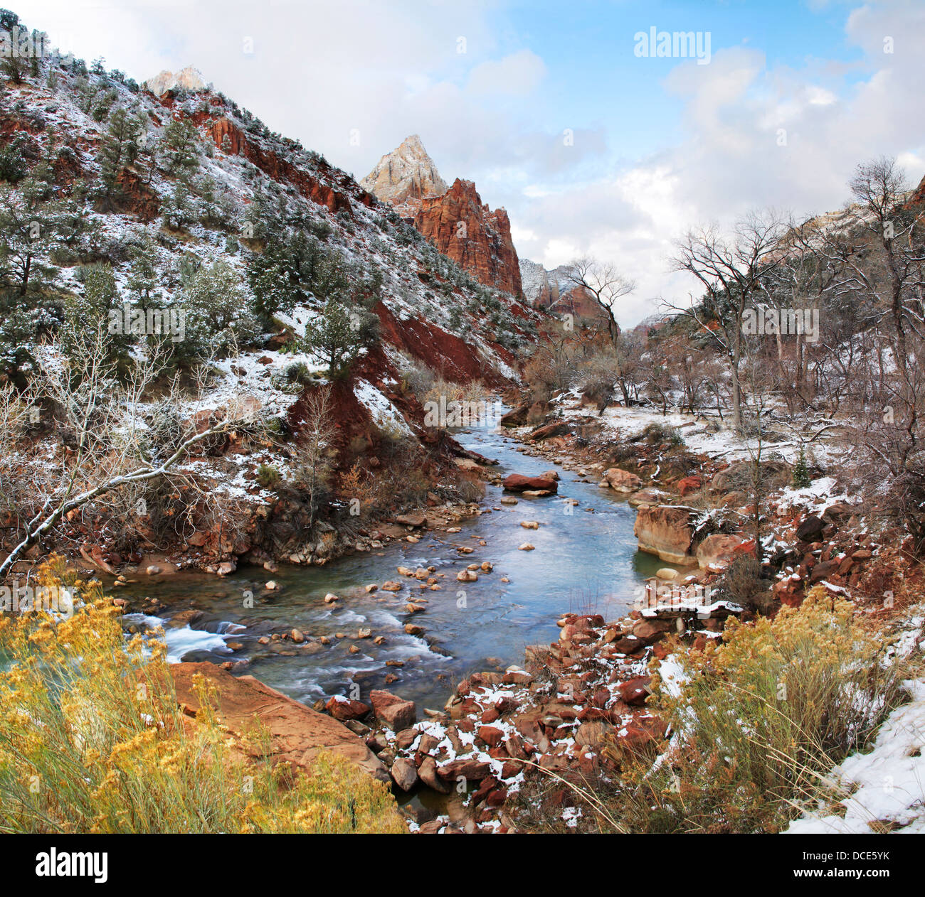 In inverno la neve sulle rive del fiume vergine, Parco Nazionale Zion, Utah, Stati Uniti d'America Foto Stock