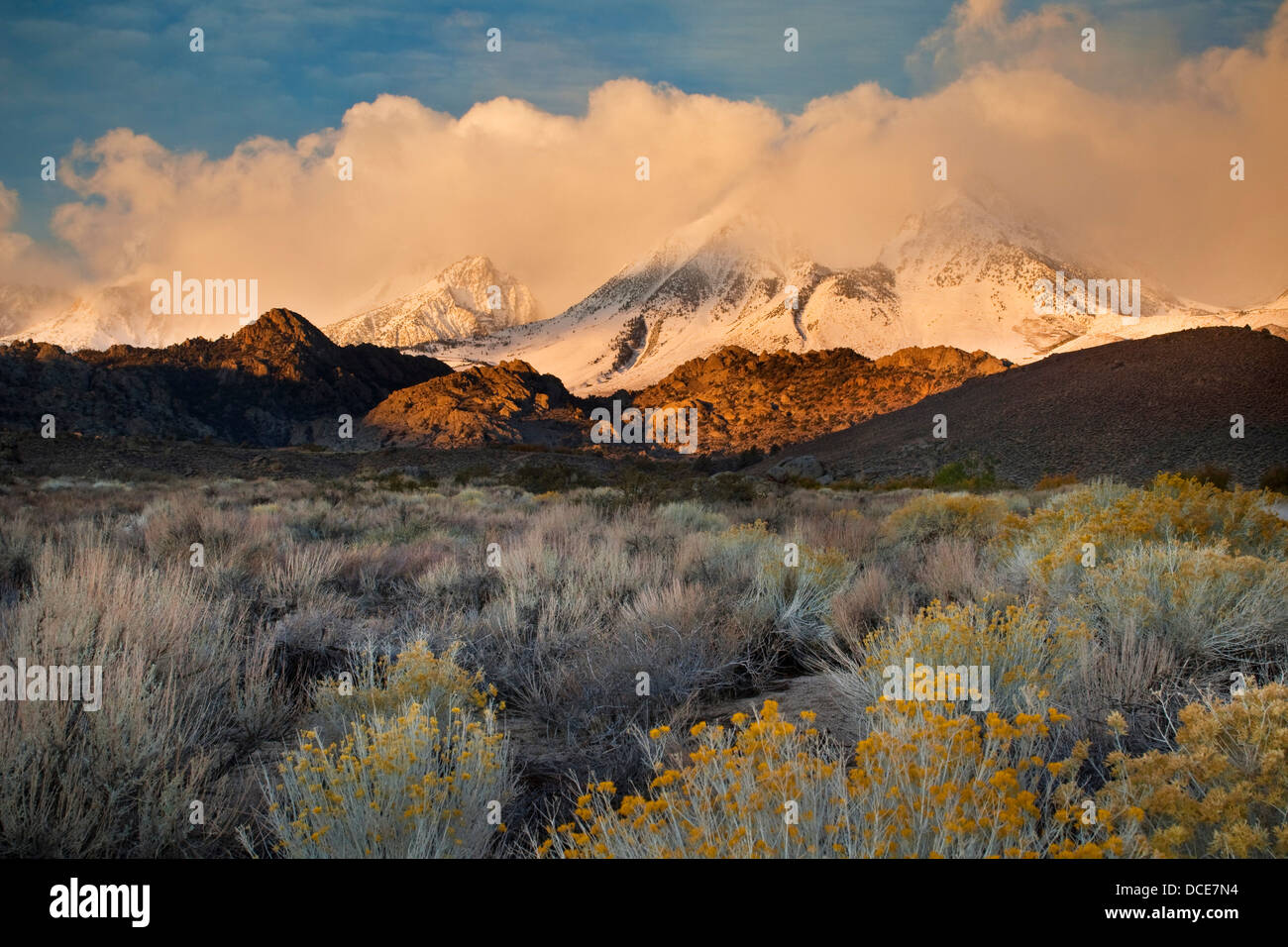 Tempesta di neve in montagna sopra la regione di latticello, Sierra orientale, California Foto Stock