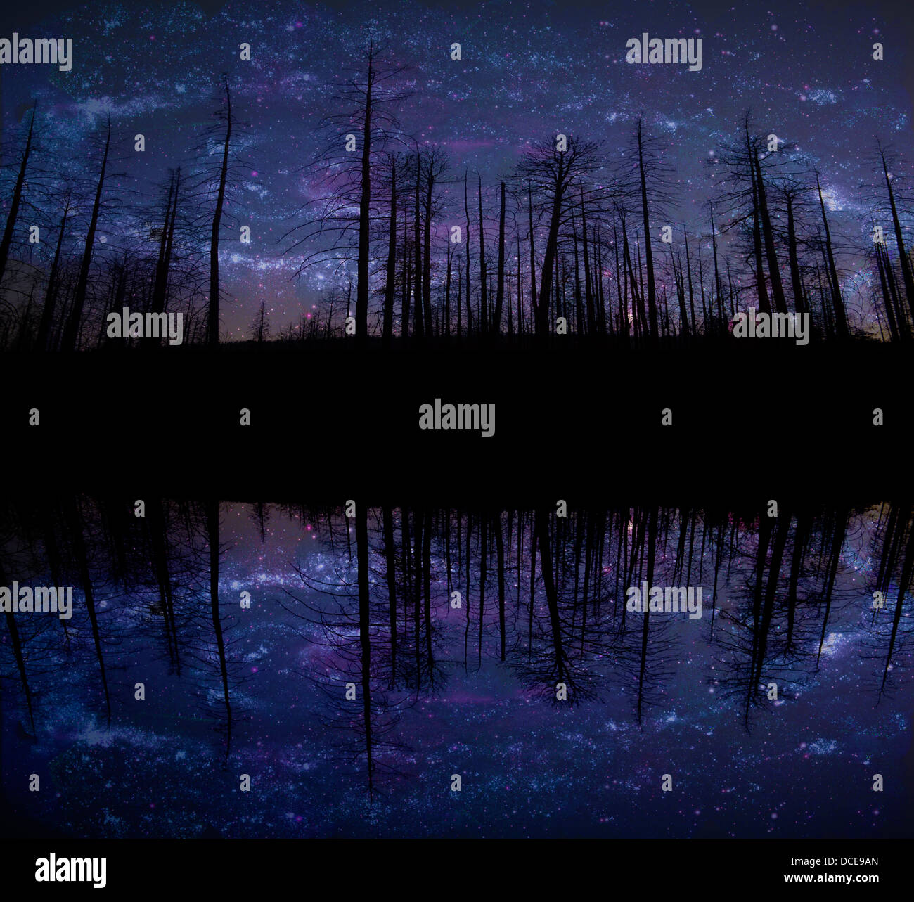 I cieli narrano la gloria di Dio. Il salmo 19:1 Foto Stock