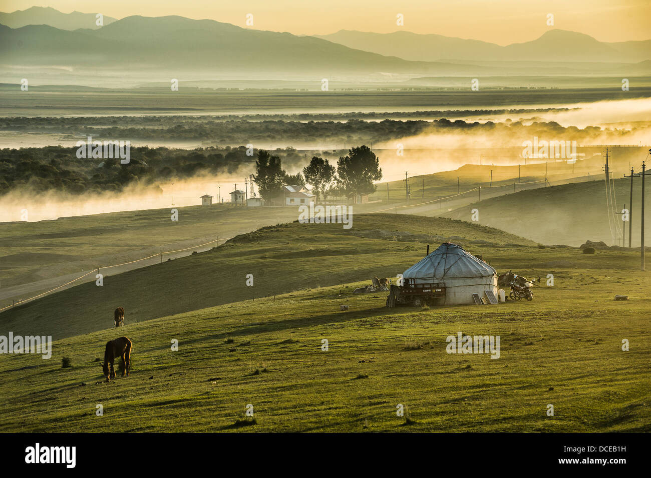 Al mattino nella prateria Zhaosu, Xinjiang Foto Stock