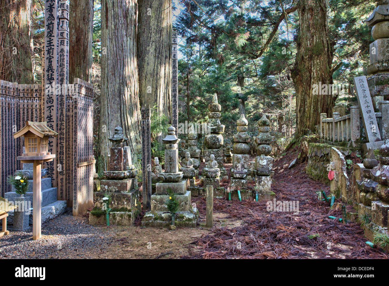 Alto sotoba di legno, memoriali giapponesi della tomba e cinque pagode lapidate in una radura nei cedri al cimitero giapponese di Okunoin a Koyasan. Foto Stock