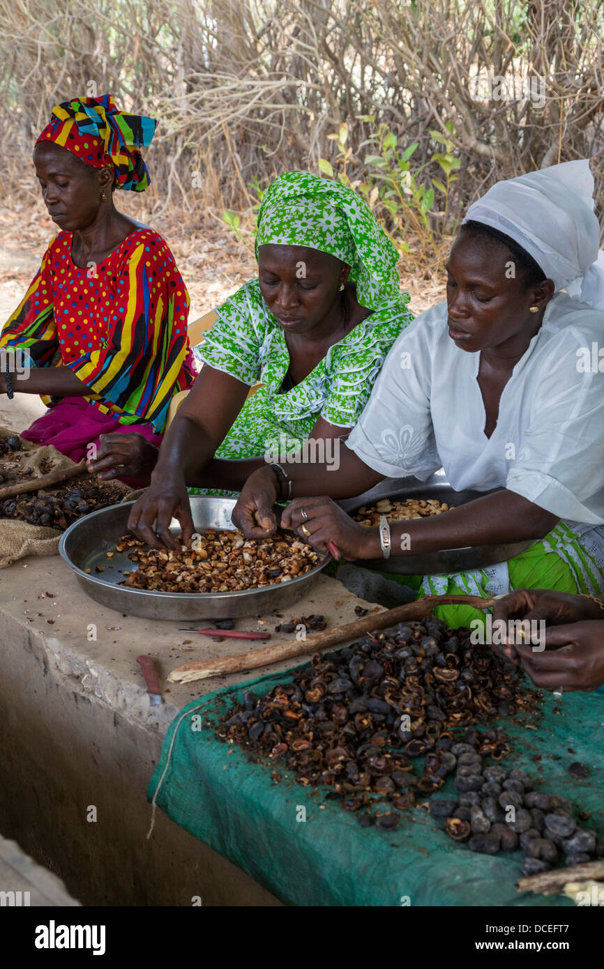 Donne elaborazione cooperativa di acagiù, Fatick, Senegal. Foto Stock