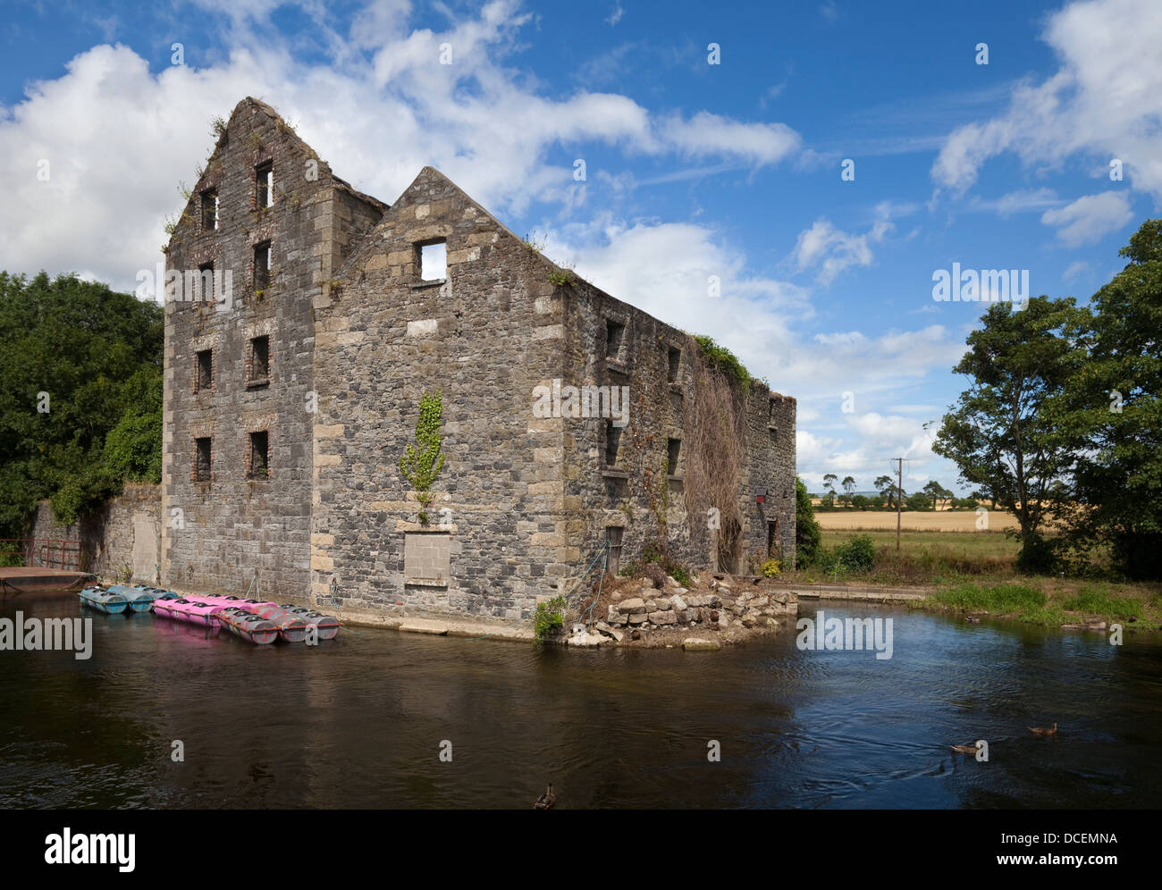 Rudkin il mulino sul fiume Barrow, Muine Bheag (aka Bagenalstown), nella contea di Carlow , Ireland Foto Stock