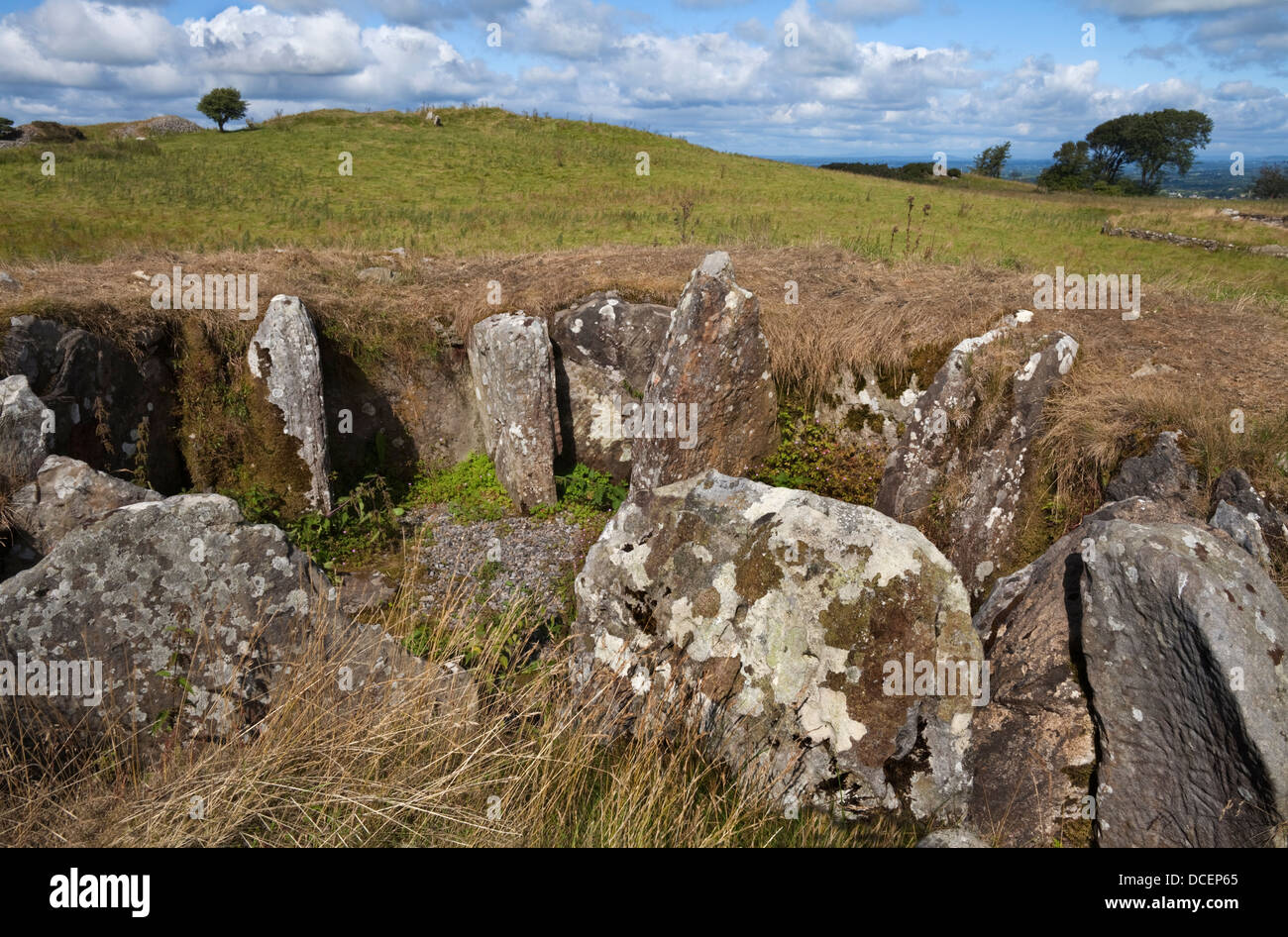 Tomba di passaggio I, arte megalitico (destra pietra), Loughcrew passaggio complesso di tombe, circa il 3500 A.C. Carbane West, nella contea di Meath, Irlanda Foto Stock