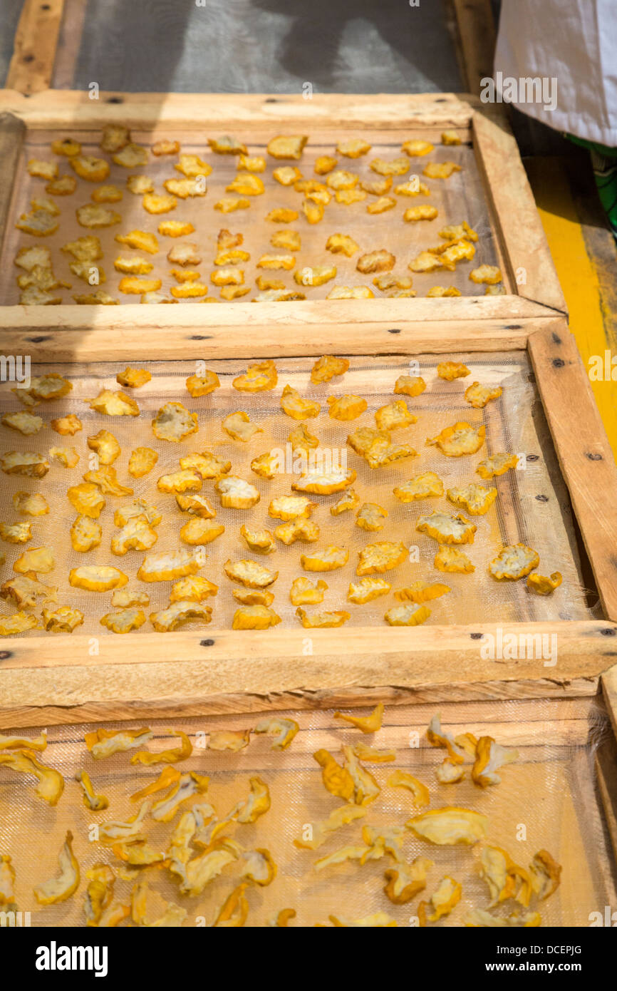 Fette di frutta di acagiù essiccazione al sole. Essi saranno confezionate e vendute localmente. Le mele fresche non trasportare bene. Gambia. Foto Stock