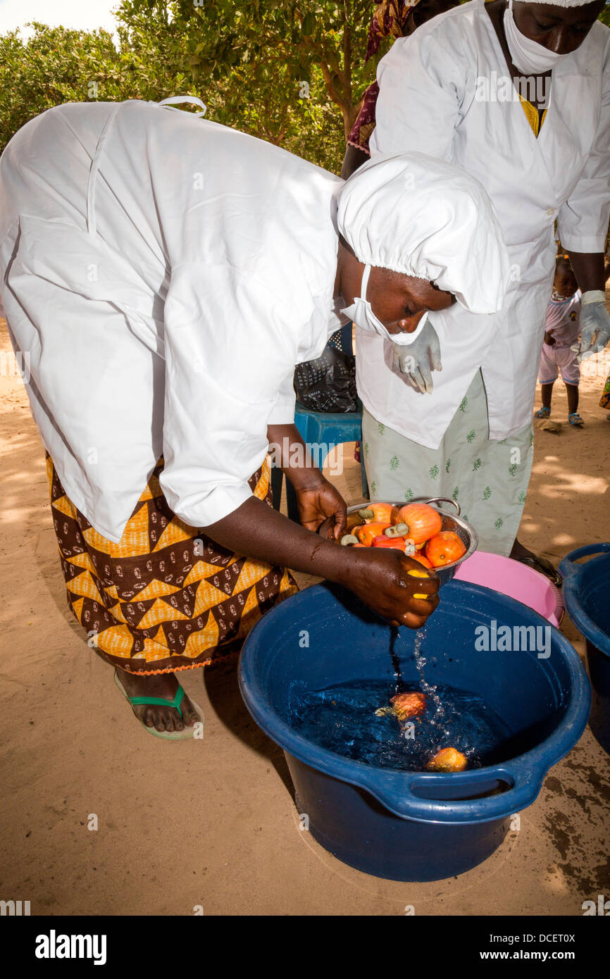 Il lavaggio di acagiù in preparazione per affettare , il Gambia Foto Stock