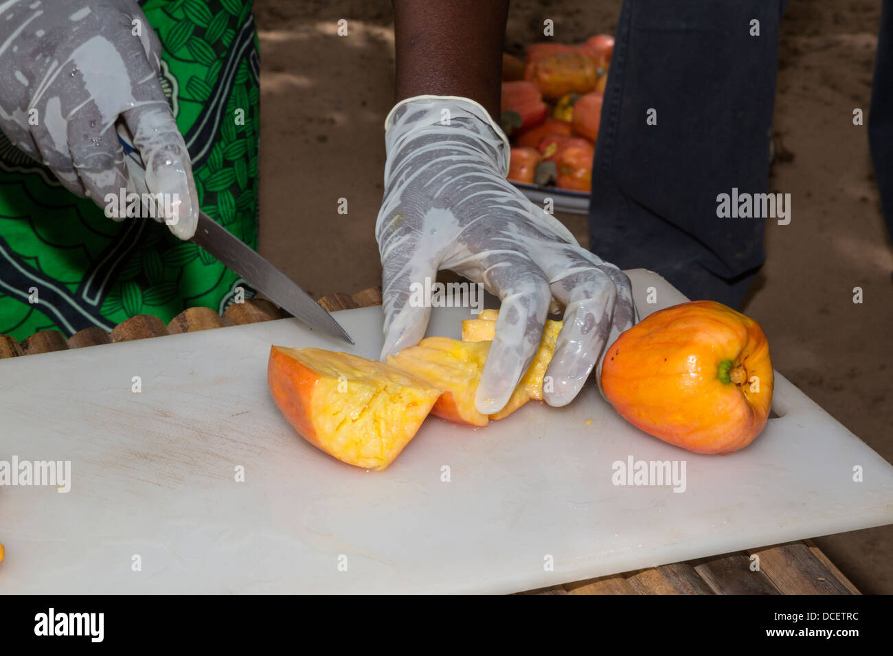I lavoratori agricoli per affettare frutta di acagiù, in preparazione per l'asciugatura. Il Gambia. Foto Stock
