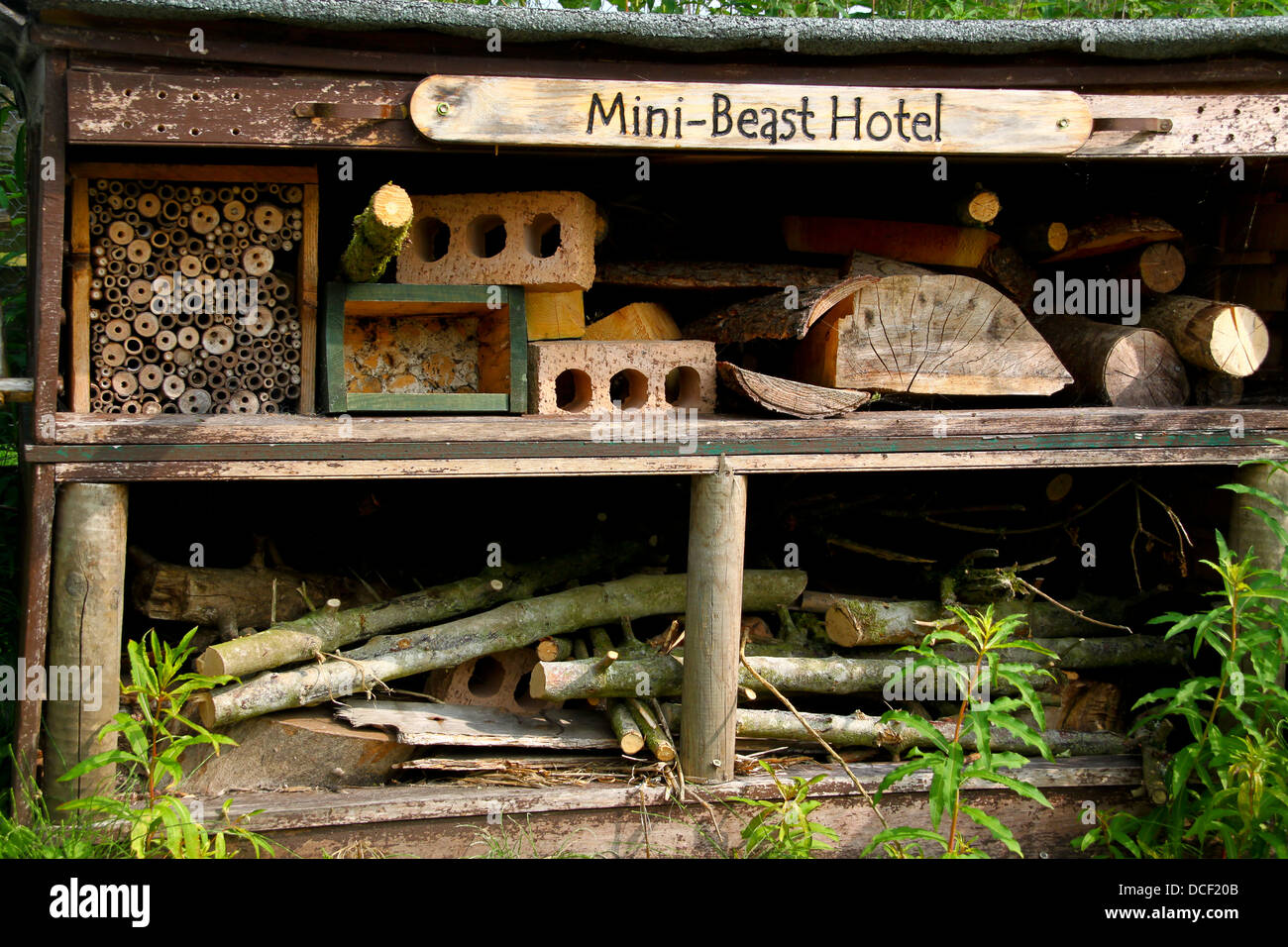 Mini bestia Hotel habitat di insetti al country park Foto Stock