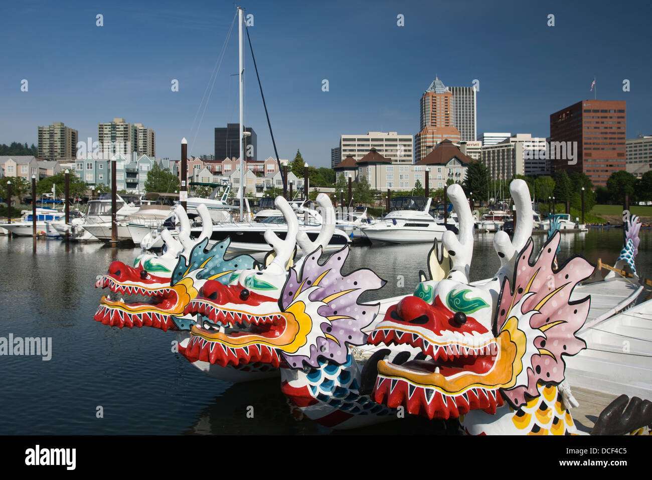 Barche drago posto sul fiume Willamette River skyline del centro di Portland OREGON USA Foto Stock