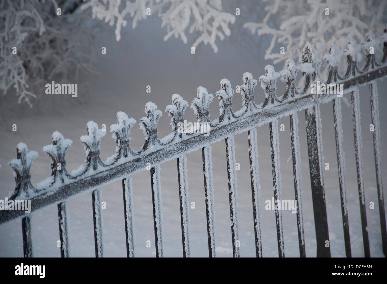 Winnipeg, Manitoba, Canada; Snow-Covered recinzione in ferro Foto Stock