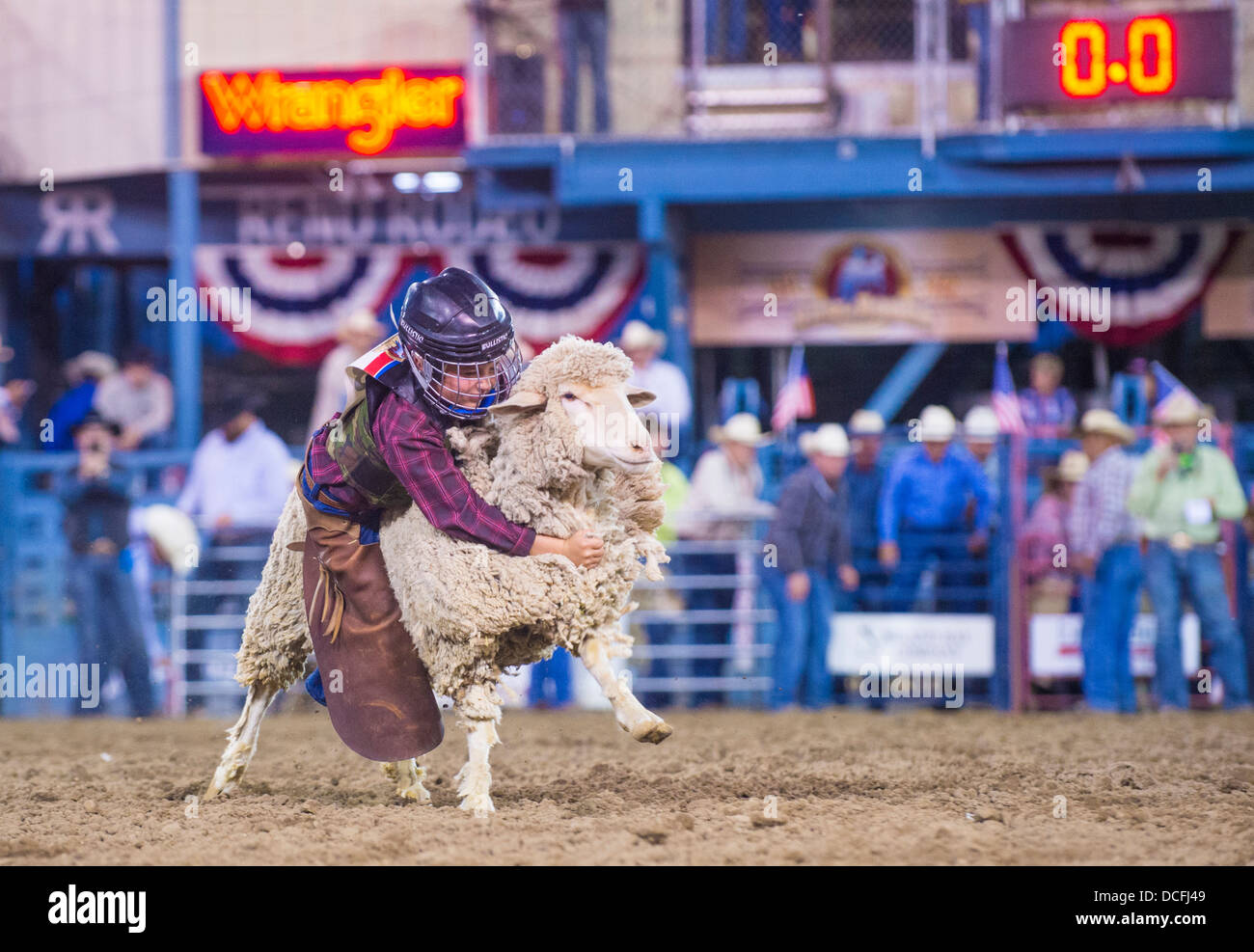 Un ragazzo a cavallo di una pecora durante un montone rompendosi concorso presso il Reno Rodeo un Rodeo Professionale tenutasi a Reno Nevada Foto Stock