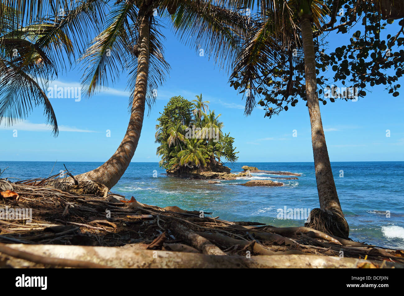 Bellissima isola tropicale vista dalla costa all'ombra di alberi di noce di cocco, Caraibi, Bocas del Toro, Panama Foto Stock