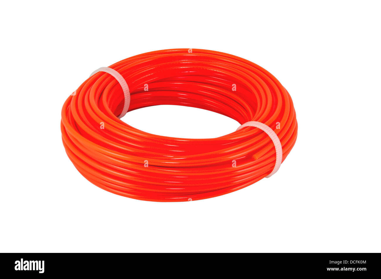 Stringa di erba tagliente isolato su sfondo bianco Foto Stock