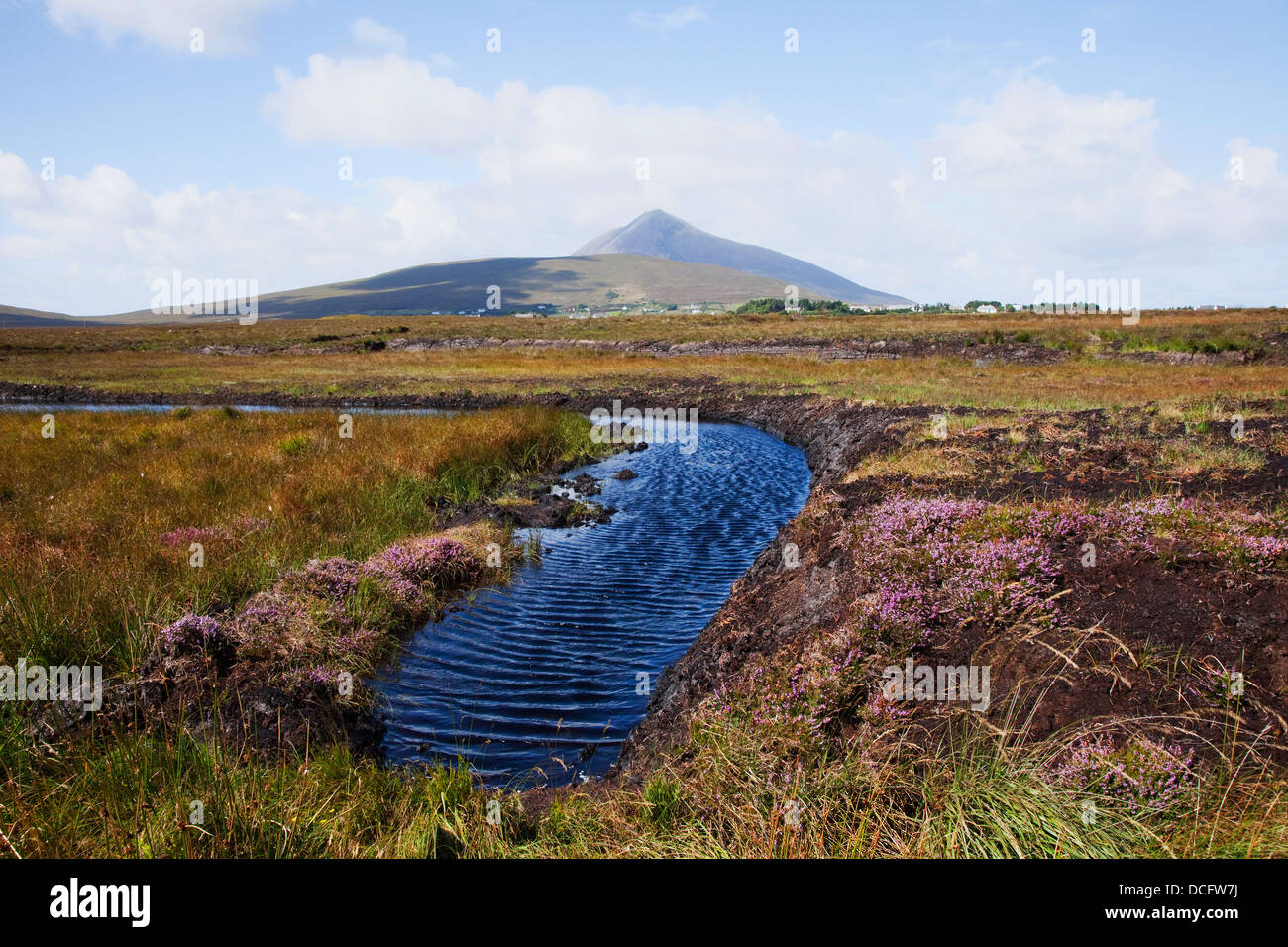 Sorgente di acqua in irlandese Bog; Achill Island, nella contea di Mayo, Irlanda Foto Stock