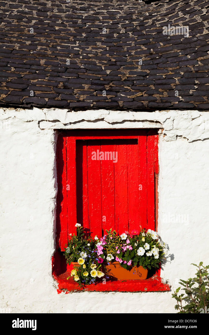 La finestra rossa Tapparelle su Cottage; Ballinskelligs, nella contea di Kerry, Irlanda Foto Stock